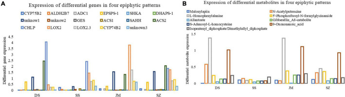 Transcriptome And Metabonomics Analysis Revealed The Molecular