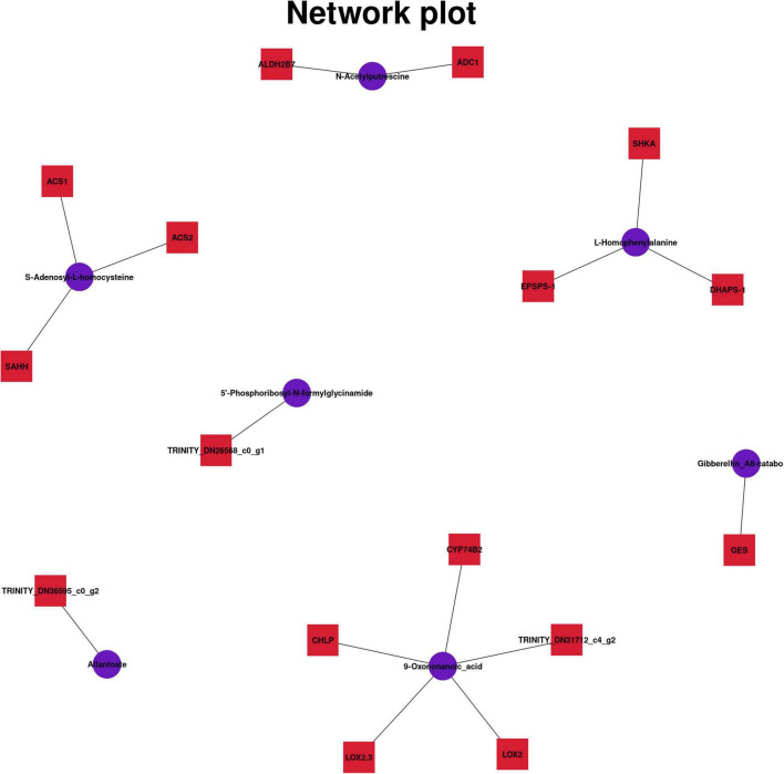 FIGURE 6