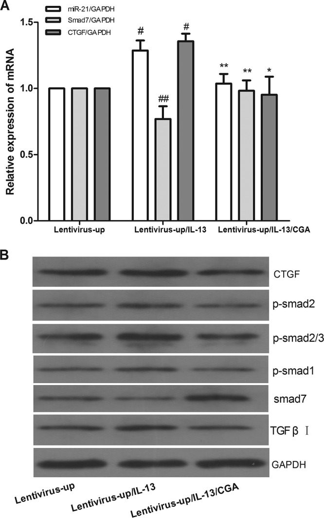 FIG 7