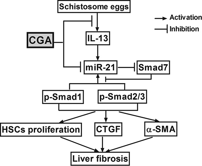 FIG 10