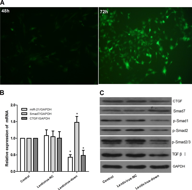 FIG 4