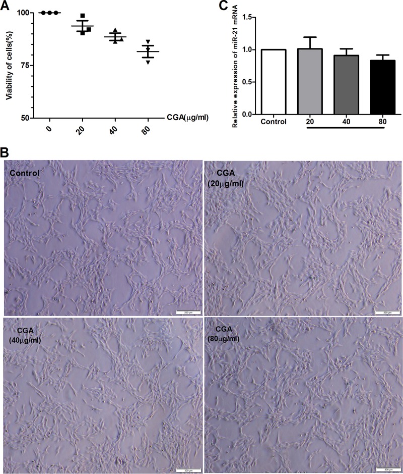 FIG 1