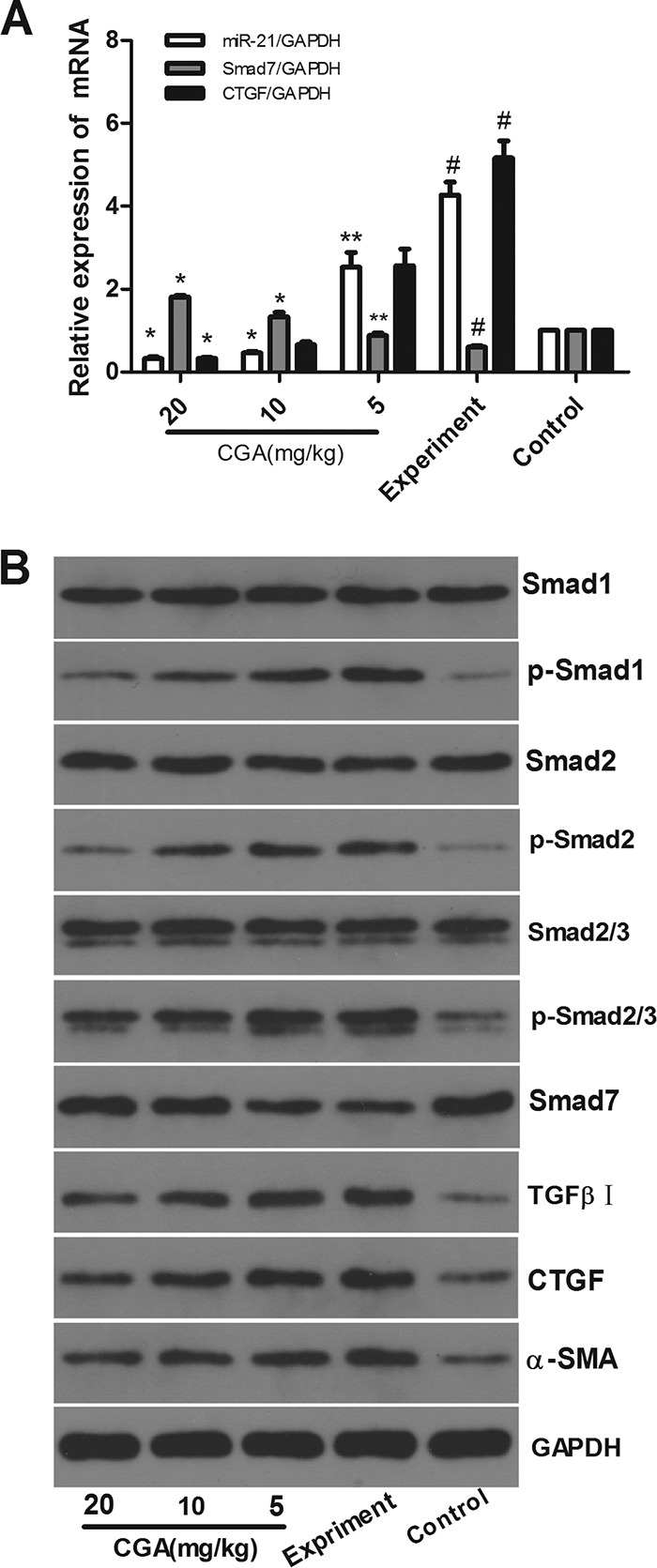 FIG 9