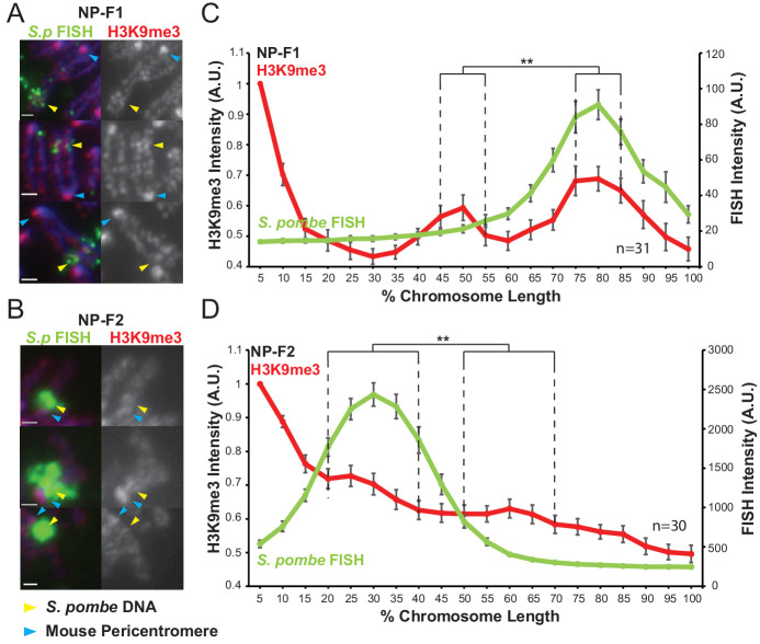 Figure 3—figure supplement 1.