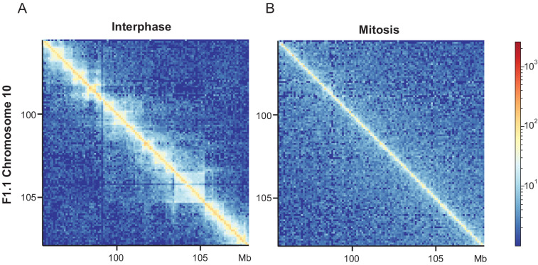 Figure 6—figure supplement 1.