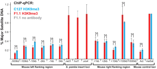 Figure 2—figure supplement 1.