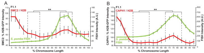 Figure 6—figure supplement 3.