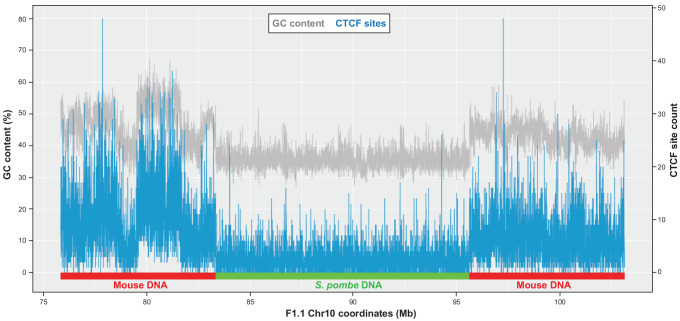 Figure 6—figure supplement 2.