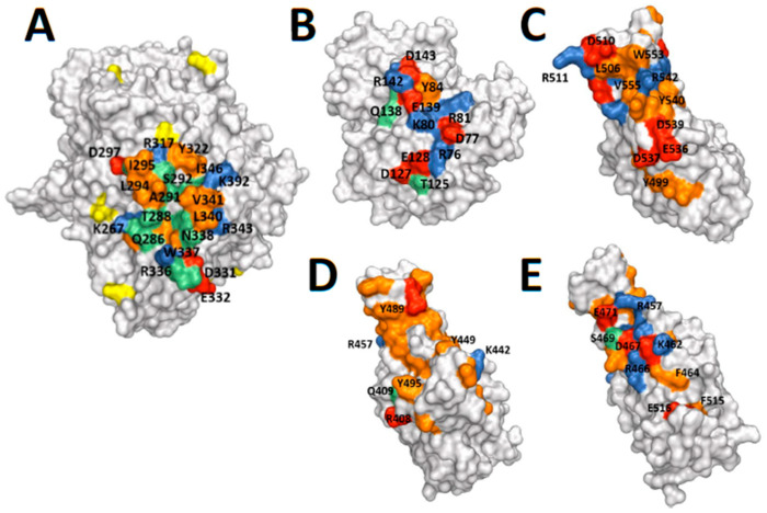 Figure 5