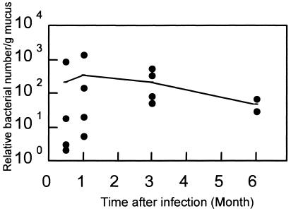 FIG. 1.