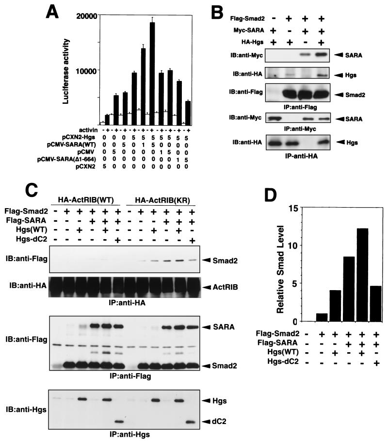 FIG. 4