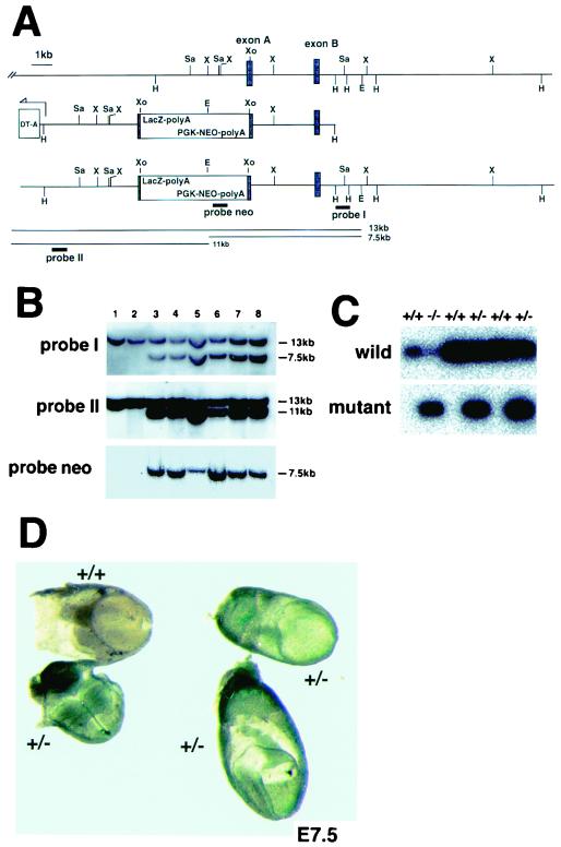 FIG. 5