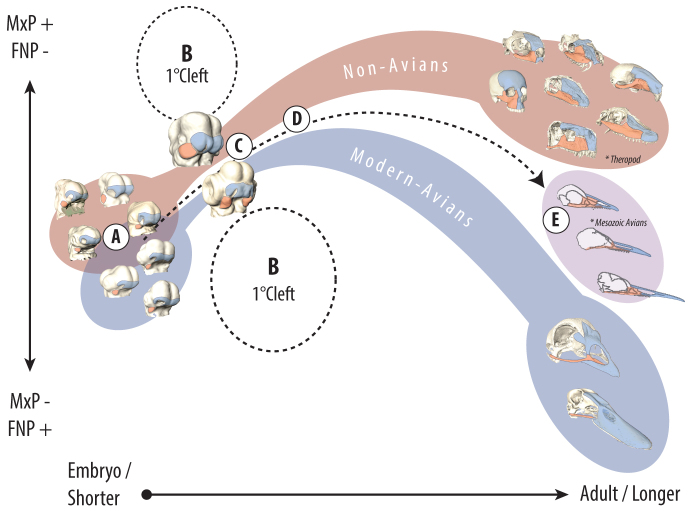 Fig. 4.