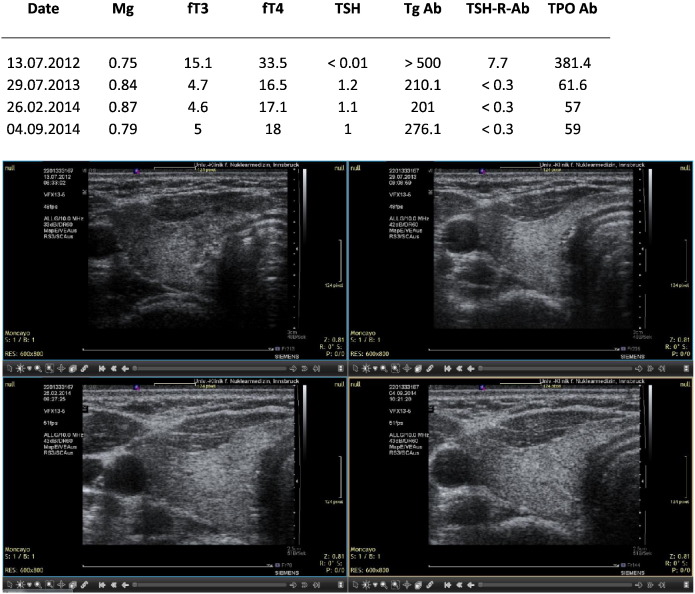 Fig. 4