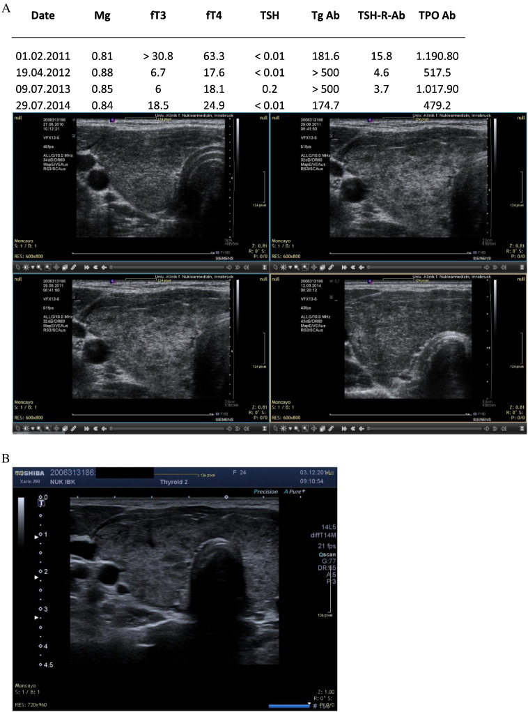 Fig. 2