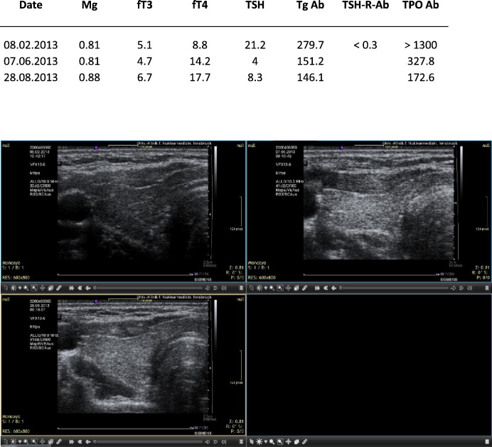 Fig. 3