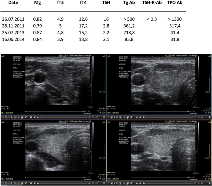 Fig. 7