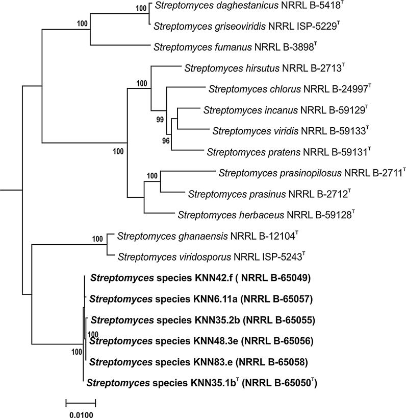 Fig. 2