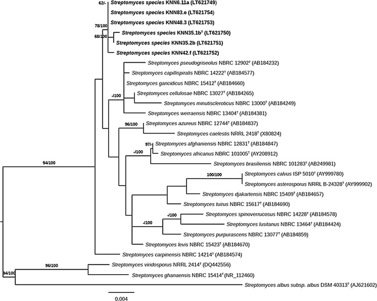 Fig. 1