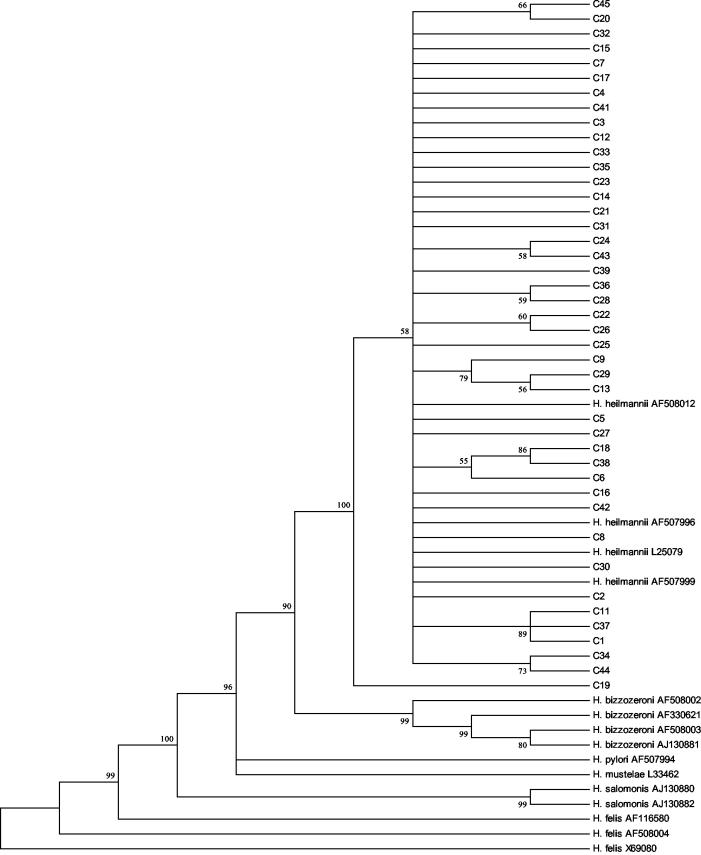 FIG. 2.