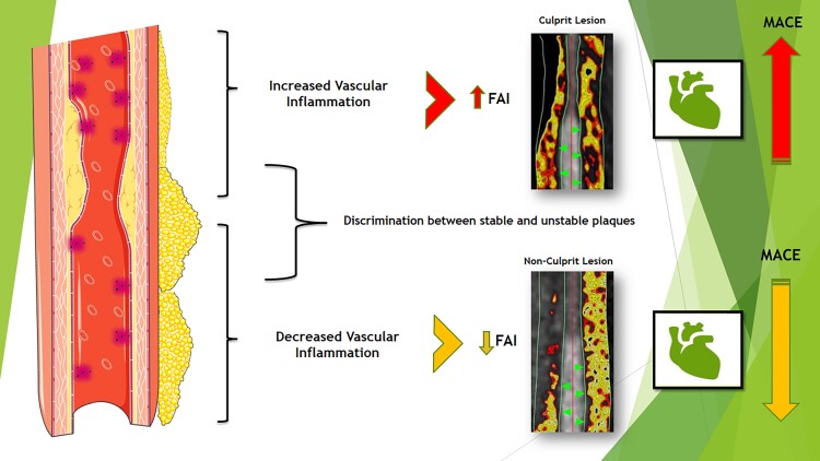 Graphical Abstract