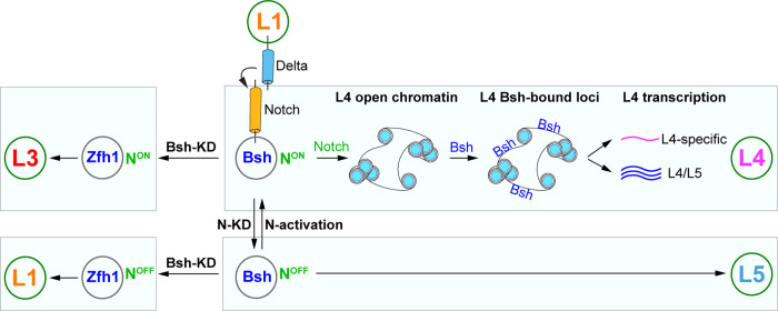 Figure 7.