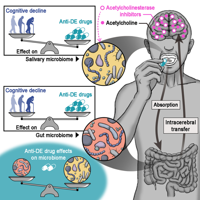 graphic file with name fx1.jpg