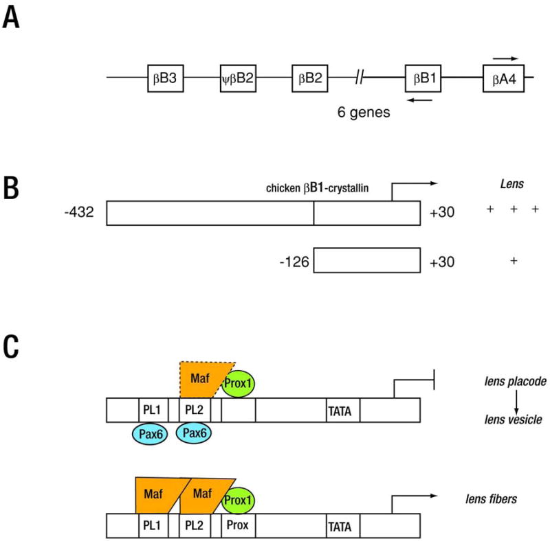 Figure 14