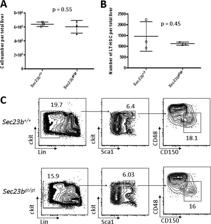 FIG 2