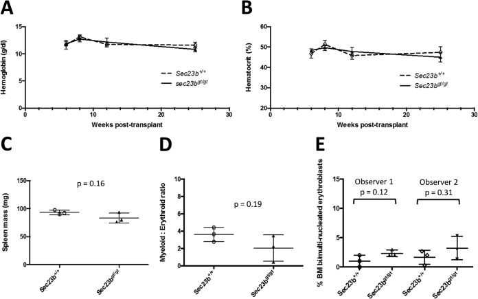 FIG 3