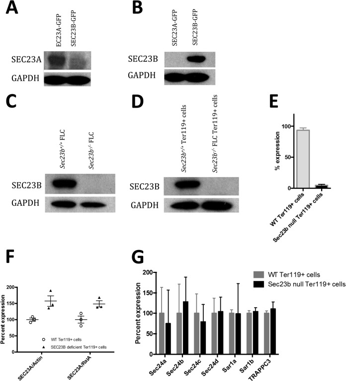 FIG 11