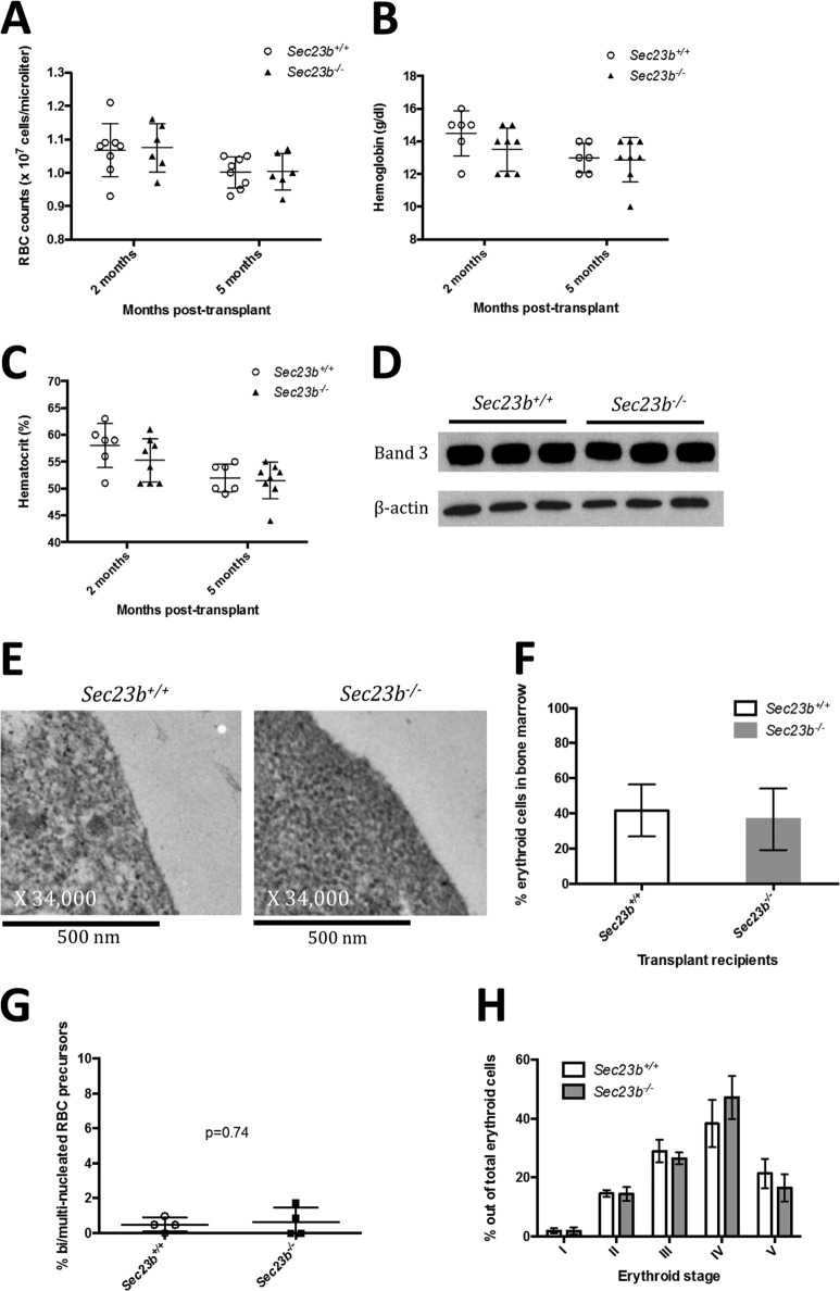 FIG 10