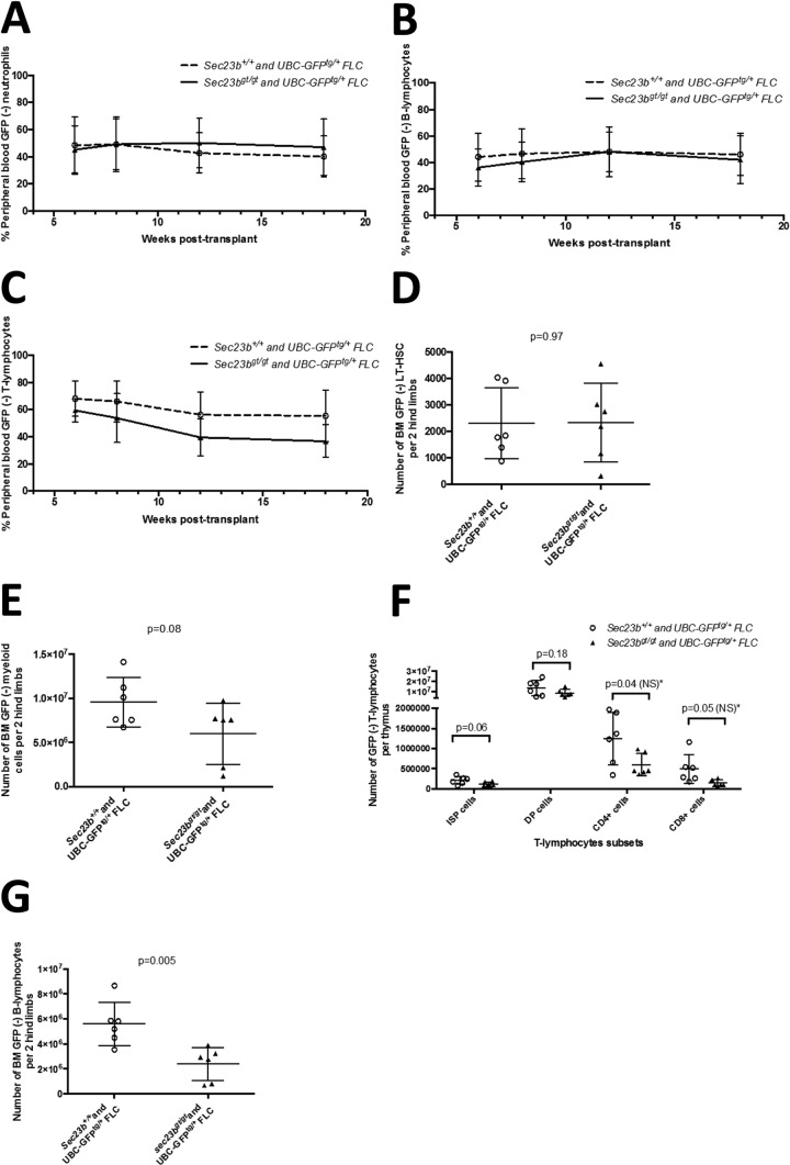 FIG 6