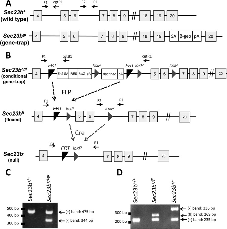 FIG 1