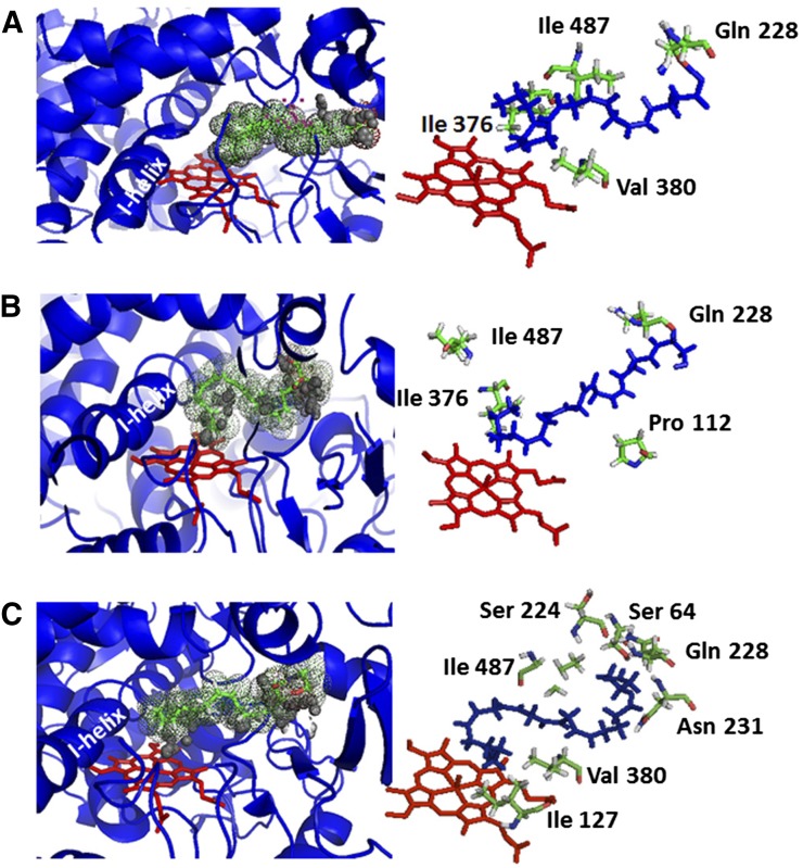 Fig. 7.