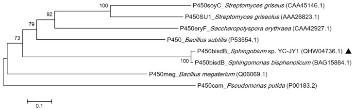 Figure 5