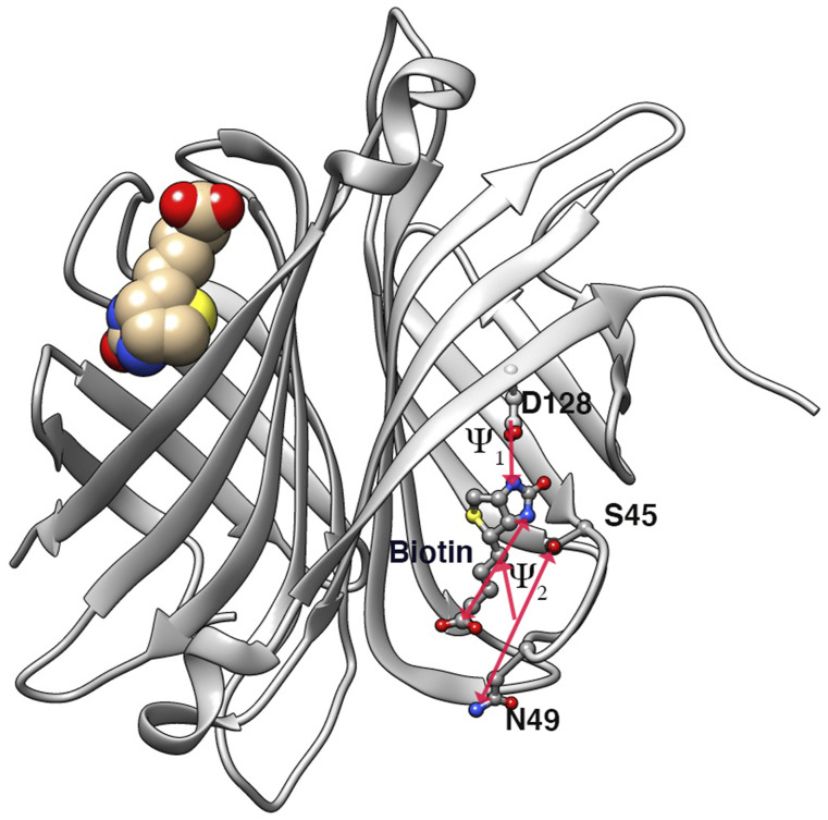 FIG. 8.