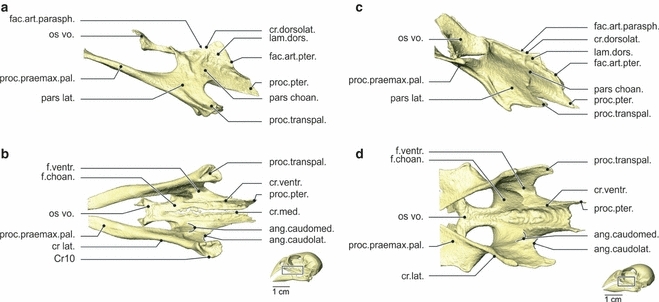 Fig. 5