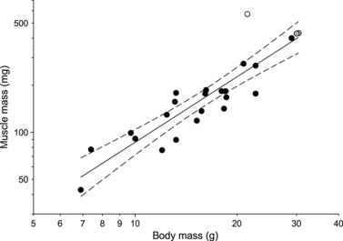 Fig. 11