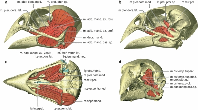 Fig. 9