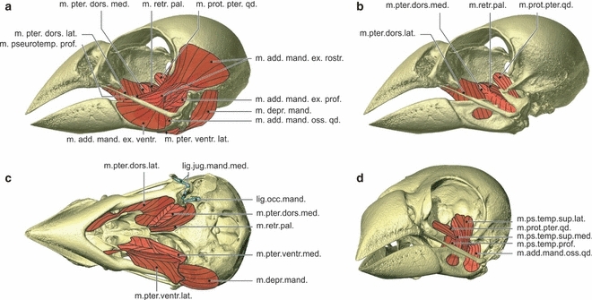 Fig. 10