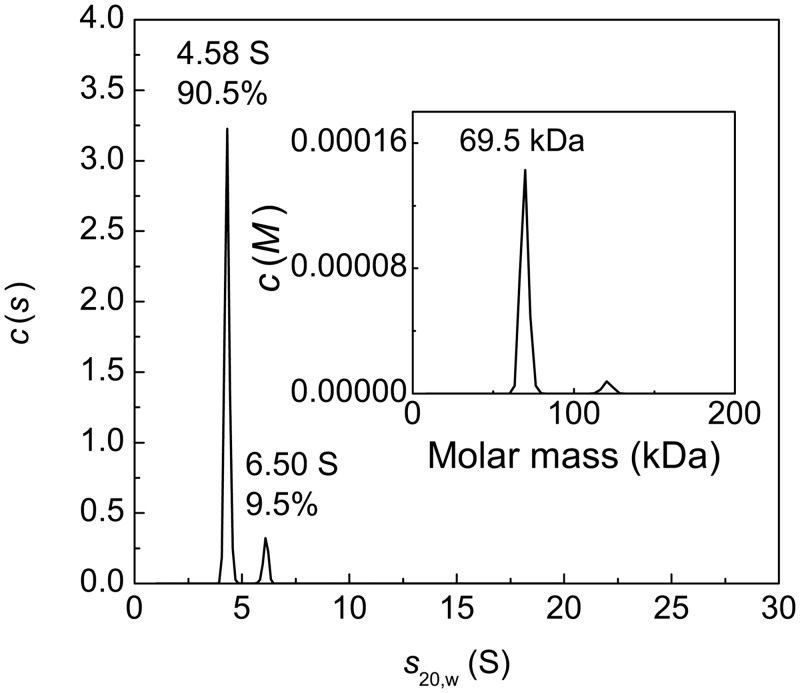 Fig 12