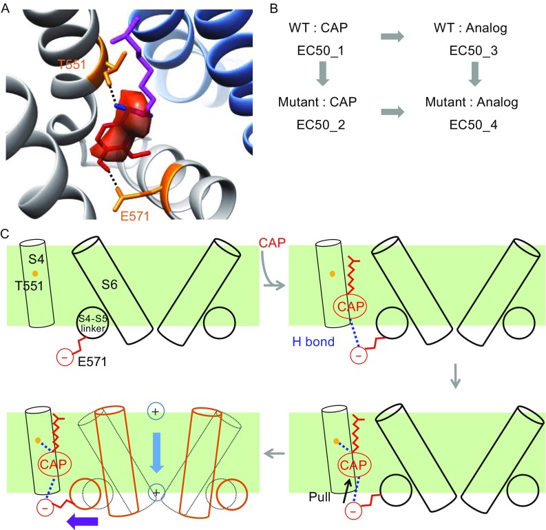 Figure 2