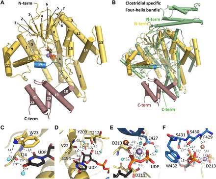 Fig. 3