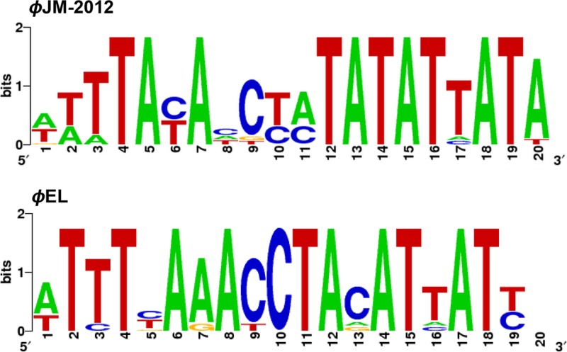 Fig 6