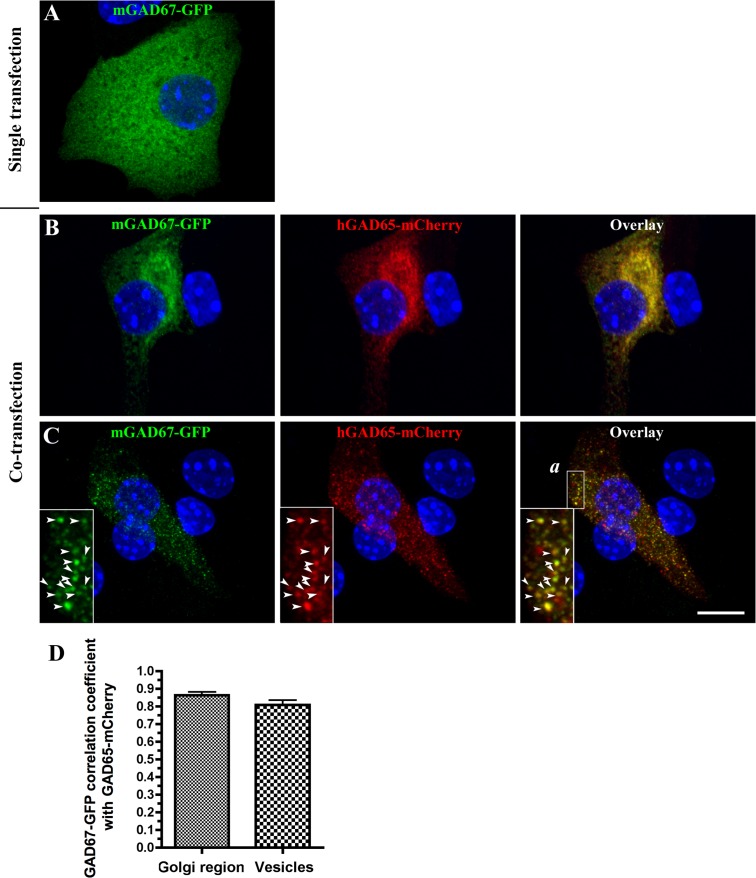 Fig 6