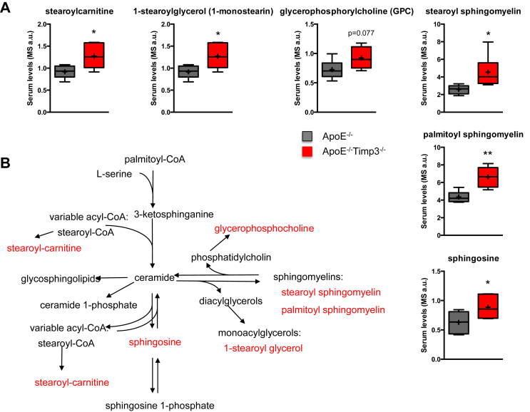 Figure 6