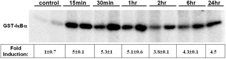 Figure 5.