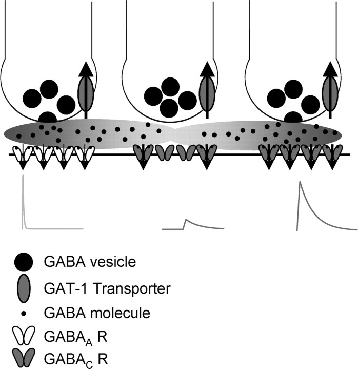 Figure 11.