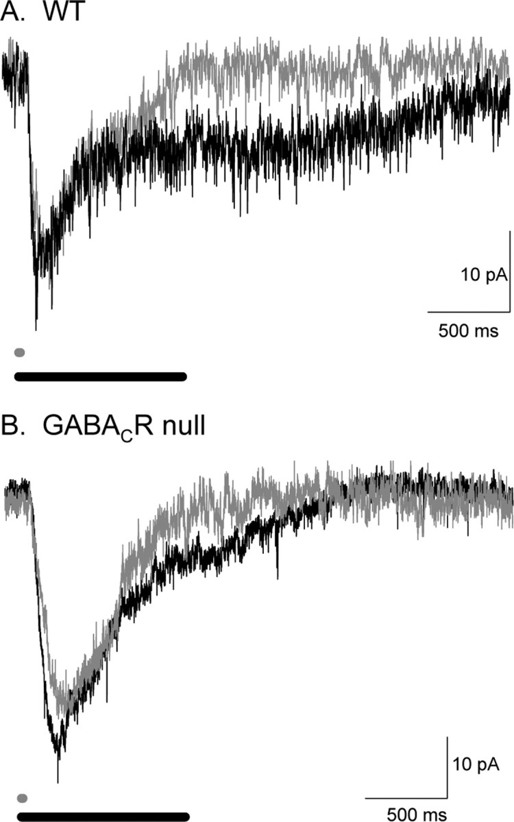 Figure 10.